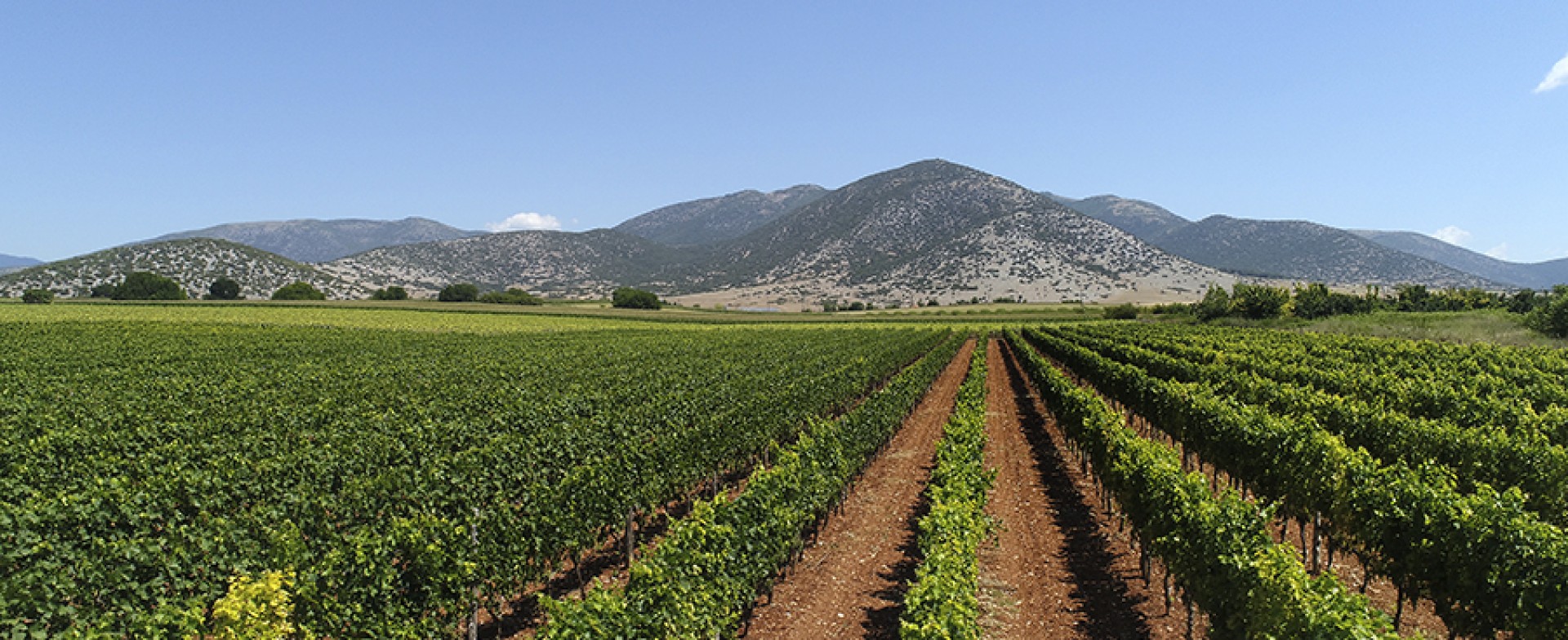 ΕΠΙΜΕΛΗΤΗΡΙΟ ΔΡΑΜΑΣ ΕΠΙΜΕΛΗΤΗΡΙΟ ΔΡΑΜΑΣ