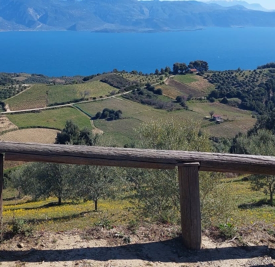 Τα μονοπάτια της Αιγιάλειας γέφυρες πολιτισμού
