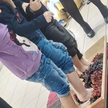 gallery-photo