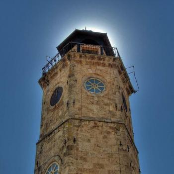 gallery-photo